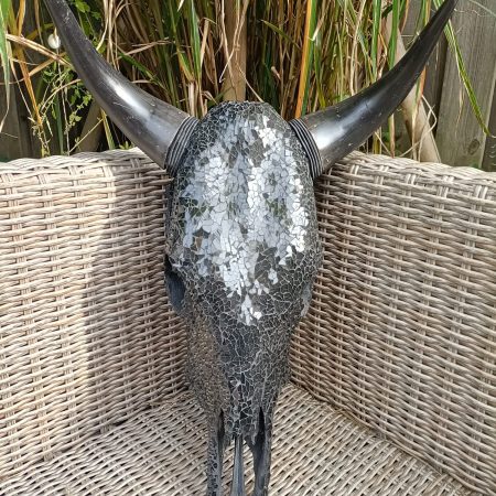 Buffel schedel ingelegd in glas--een sieraad in huis
