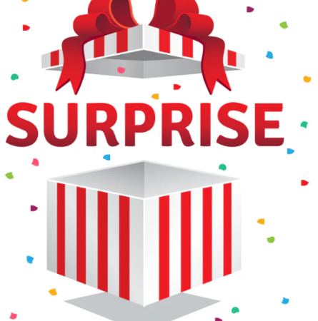 Mystery Surprise Tasje